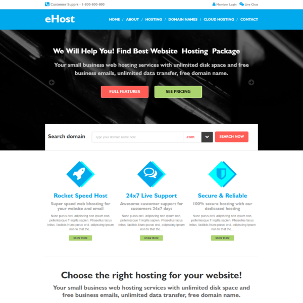 Hosting Landing Page Template