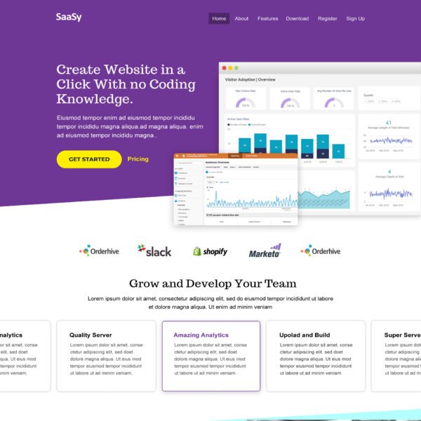 Saas Responsive Website Template